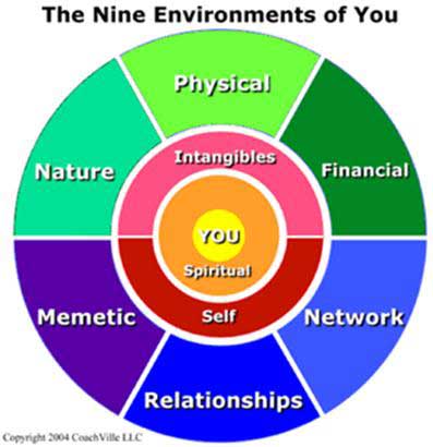 The Nine Environments of You